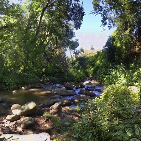 Brevisbrook B&B Pietermaritzburg Zewnętrze zdjęcie
