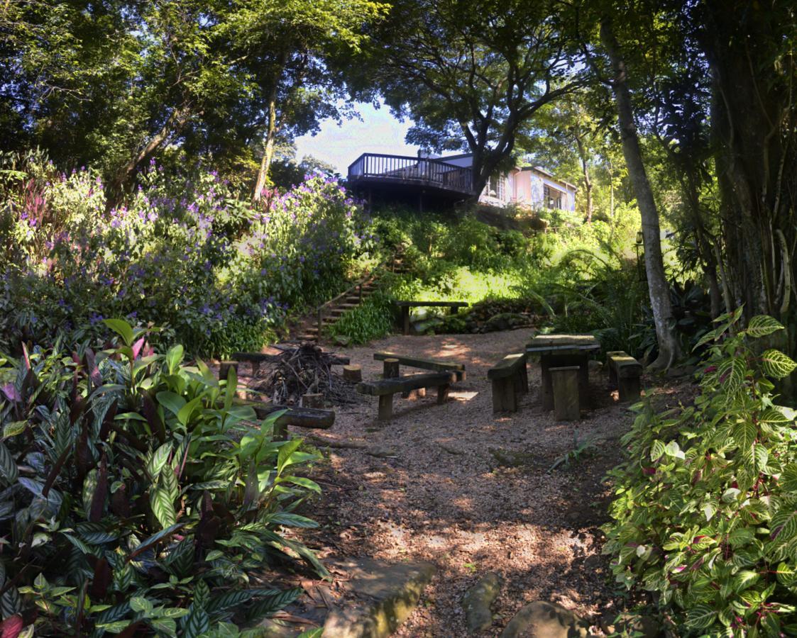 Brevisbrook B&B Pietermaritzburg Zewnętrze zdjęcie